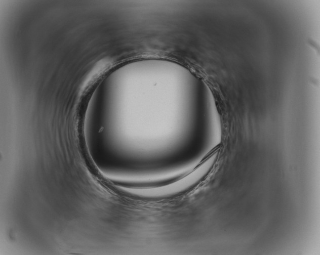 X0000099230197200805011144