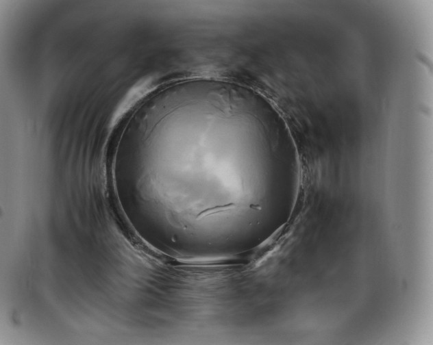 X0000099230198200805011144