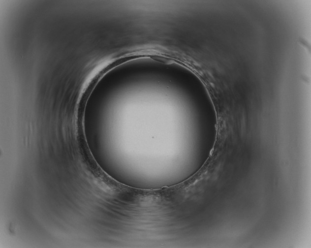 X0000099230200200805011144