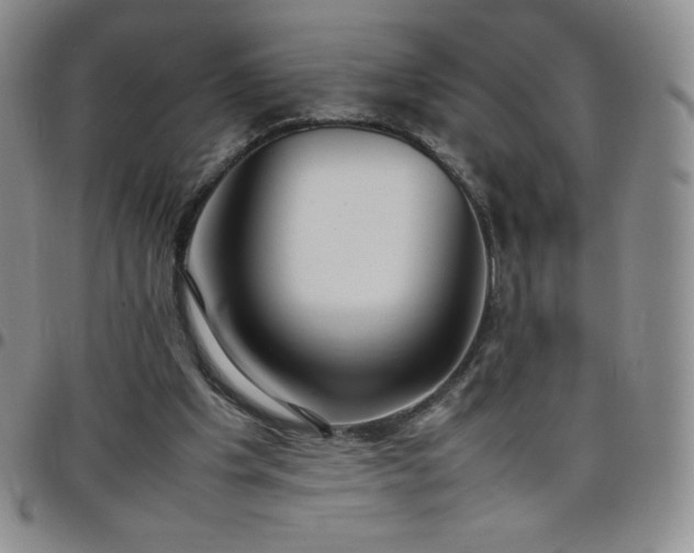 X0000099230201200805011144