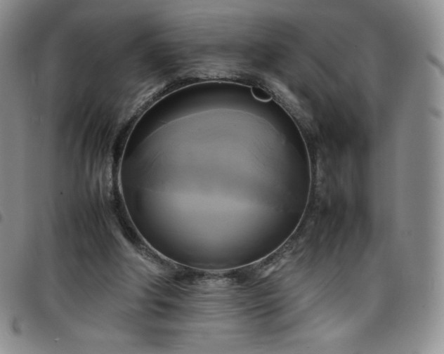 X0000099230202200805011144