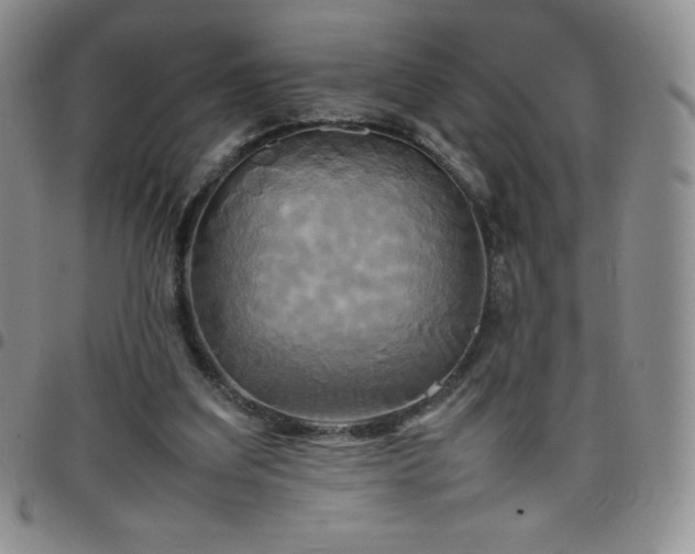 X0000099230203200805011144