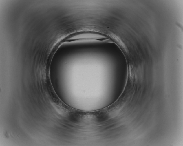 X0000099230204200805011144