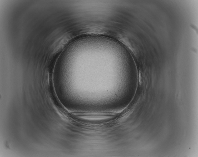 X0000099230205200805011144