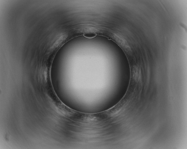 X0000099230206200805011144