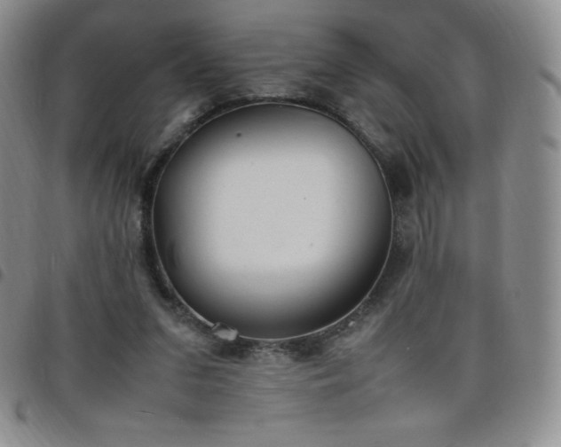 X0000099230207200805011144