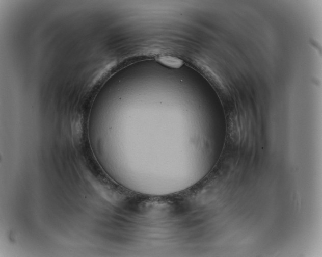 X0000099230208200805011144