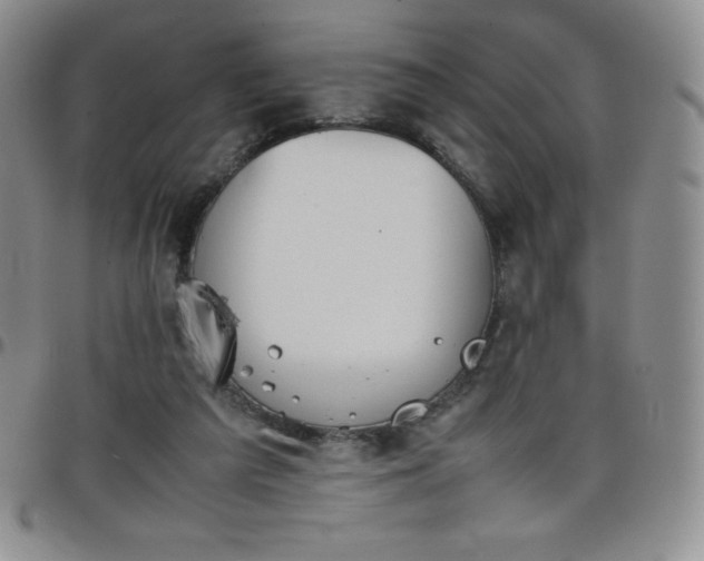 X0000099230209200805011144