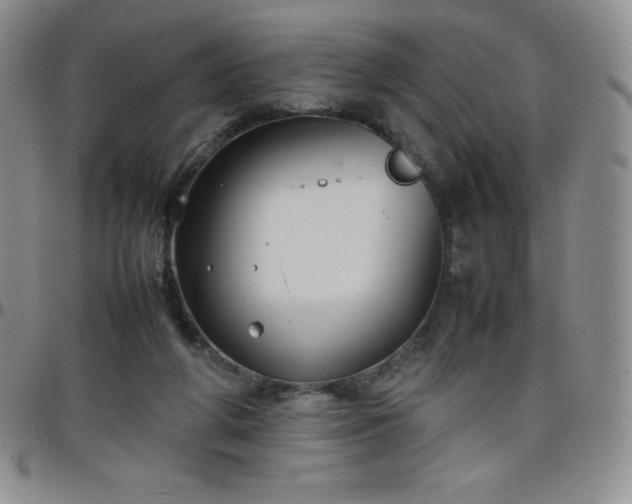 X0000099230210200805011143