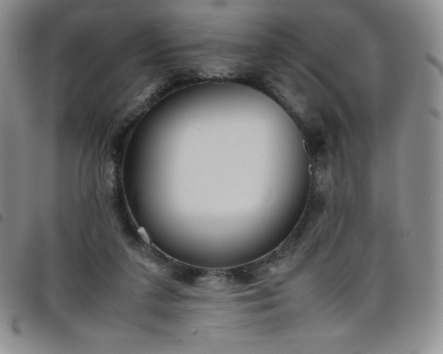 X0000099230211200805011143