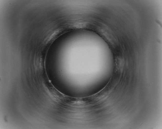 X0000099230212200805011143