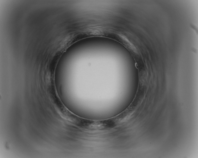 X0000099230213200805011143