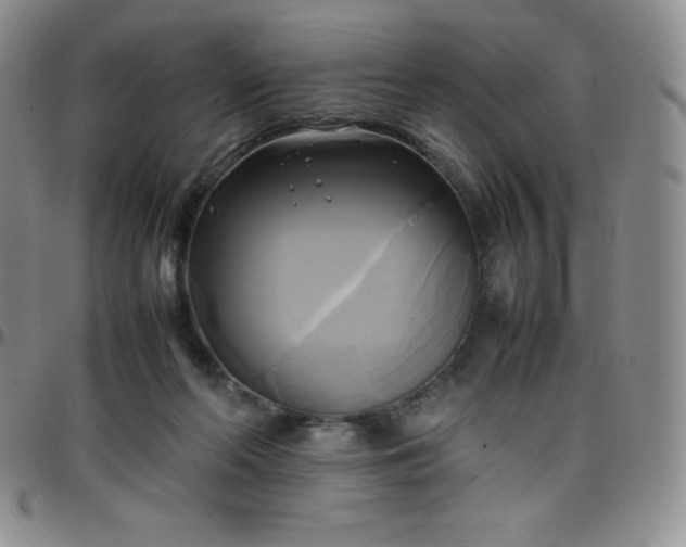 X0000099230214200805011143