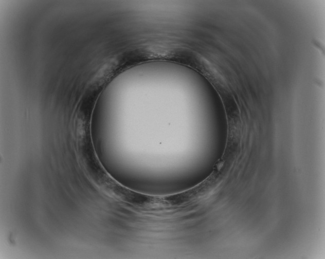 X0000099230215200805011143