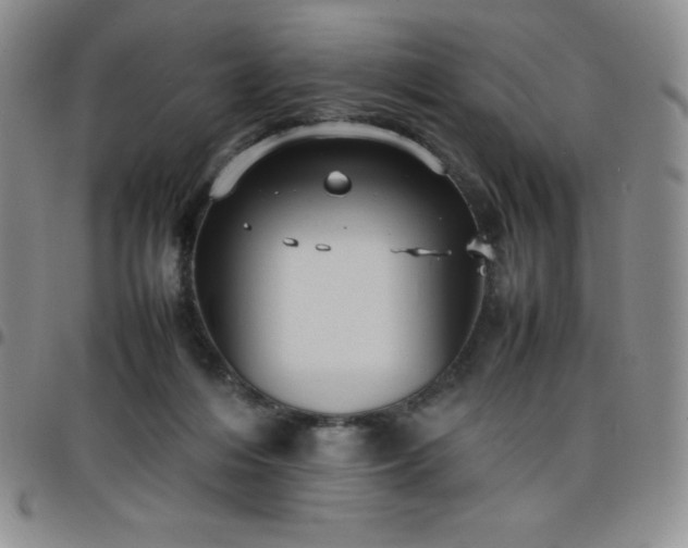 X0000099230216200805011143