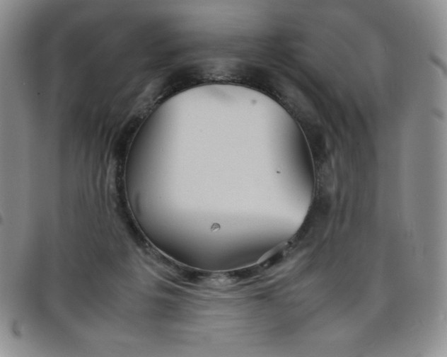 X0000099230217200805011143