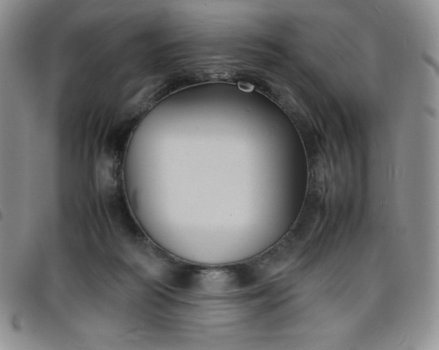 X0000099230218200805011143