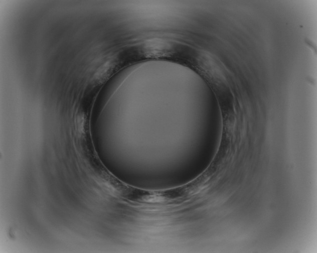 X0000099230219200805011143