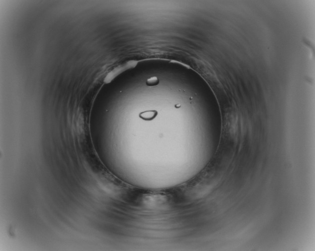 X0000099230220200805011143