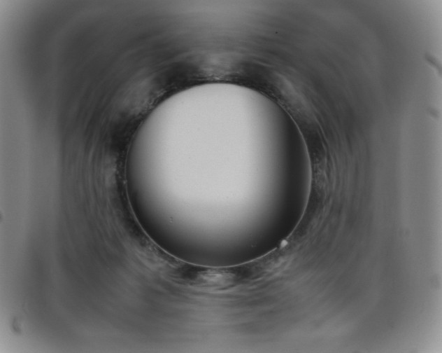 X0000099230221200805011143