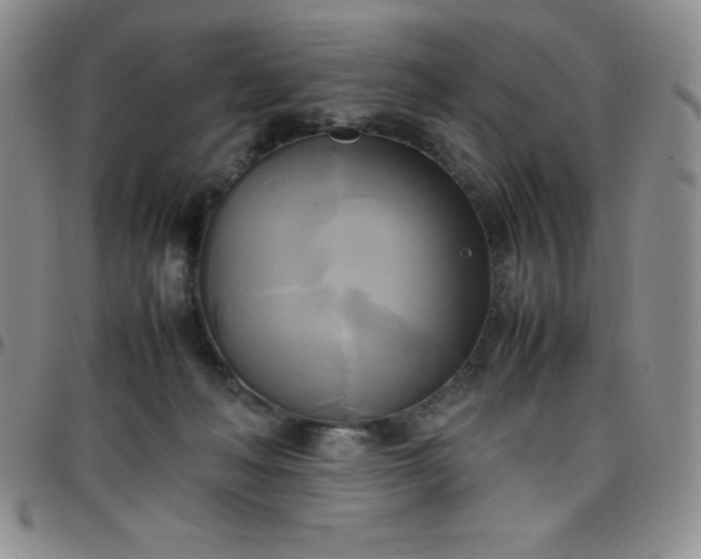 X0000099230222200805011143