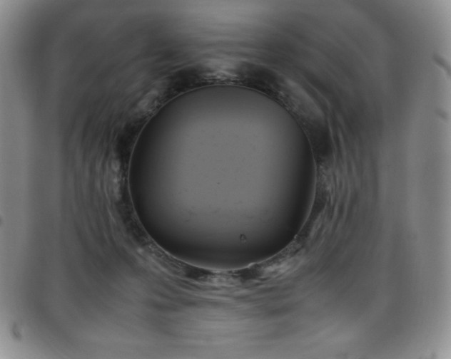 X0000099230223200805011143