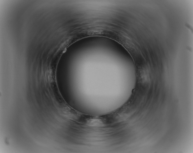 X0000099230224200805011143