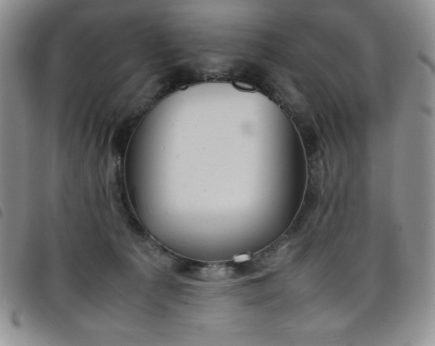 X0000099230225200805011143