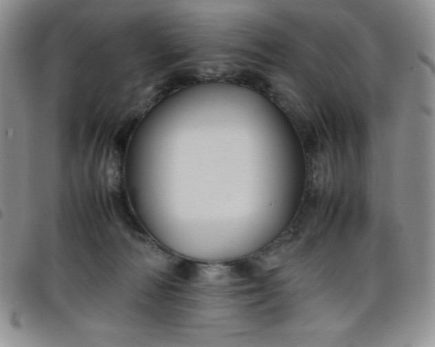 X0000099230226200805011143