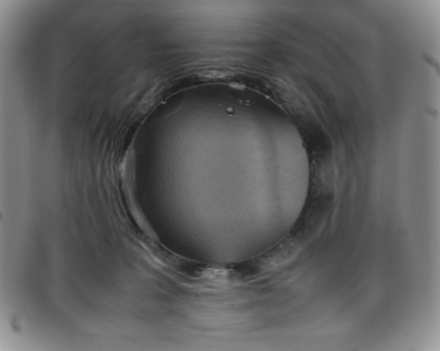 X0000099230227200805011143