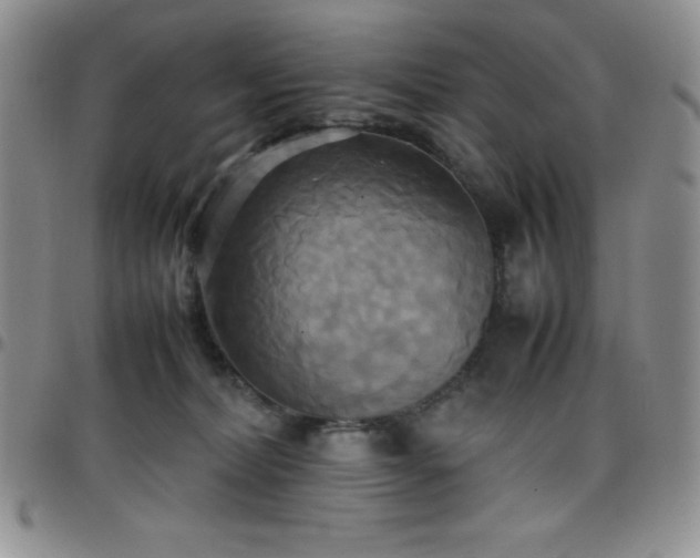 X0000099230228200805011143