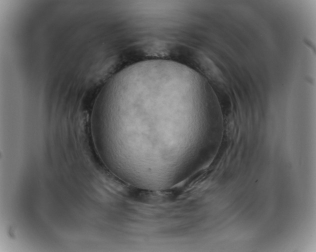 X0000099230229200805011143