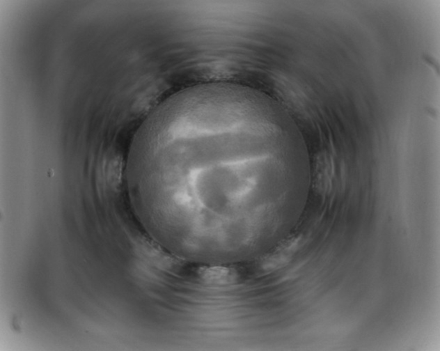 X0000099230230200805011143