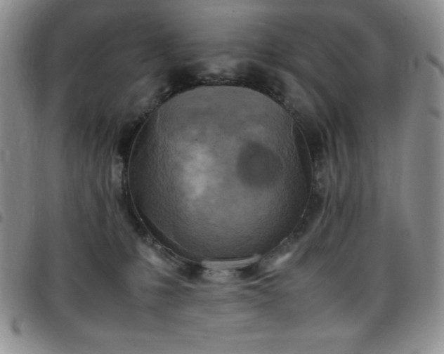 X0000099230231200805011143