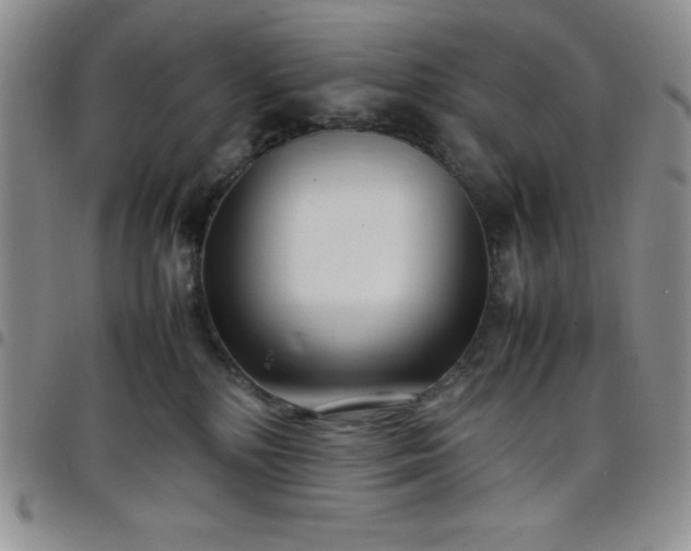 X0000099230232200805011143