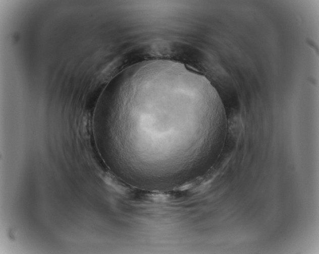 X0000099230233200805011143