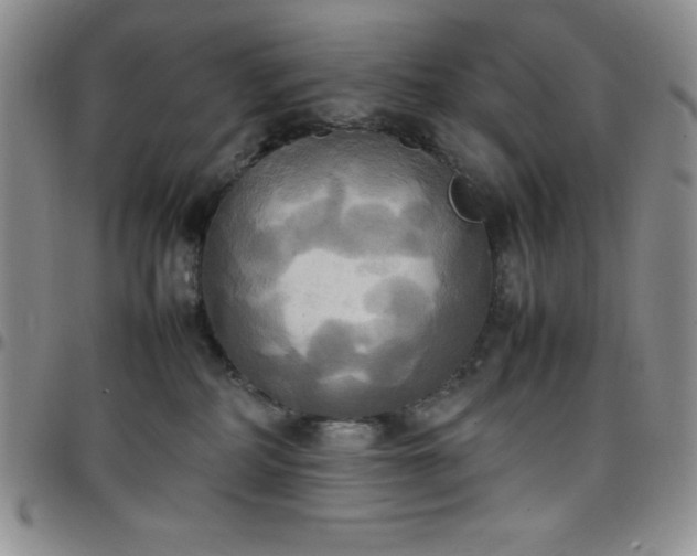 X0000099230234200805011143