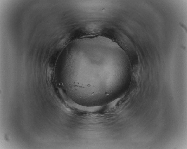 X0000099230235200805011143