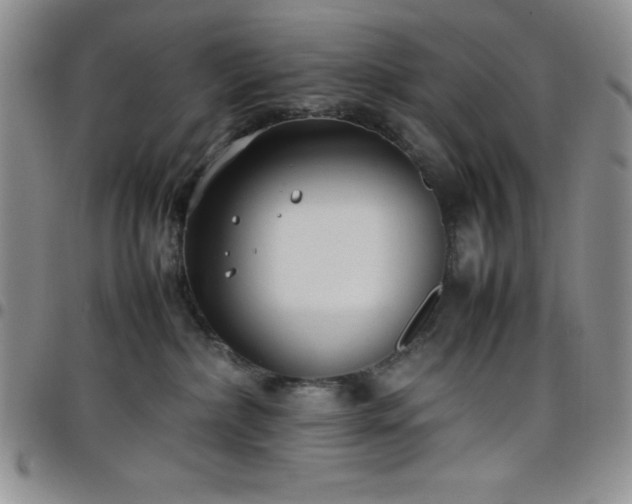 X0000099230236200805011143