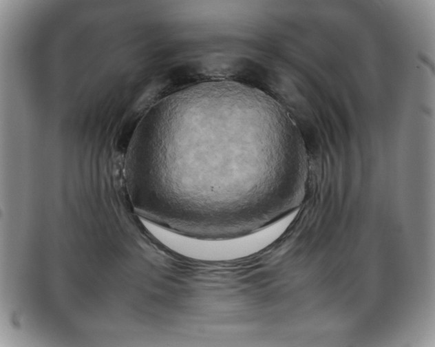 X0000099230237200805011143