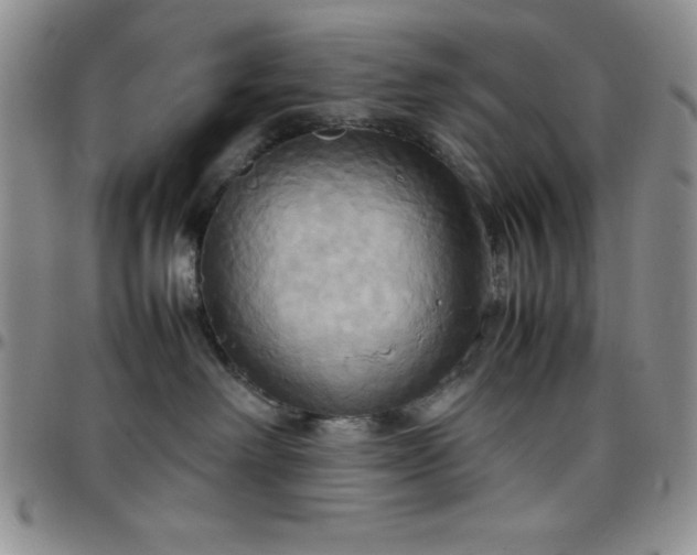 X0000099230238200805011143