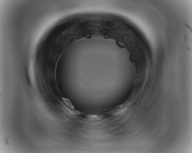 X0000099230239200805011143