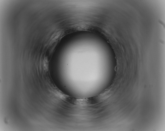 X0000099230240200805011143