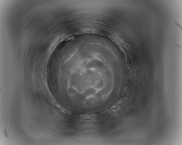 X0000099230241200805011142