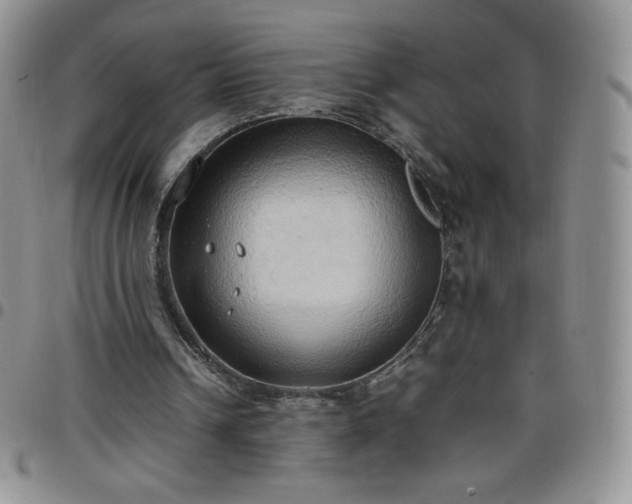 X0000099230242200805011142