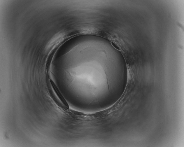 X0000099230243200805011142