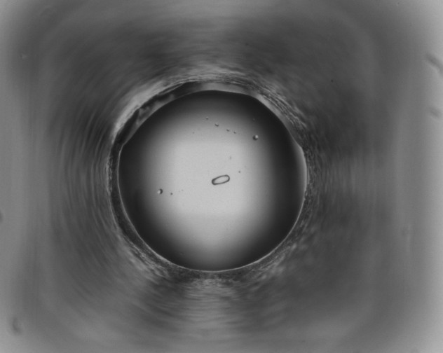 X0000099230244200805011142