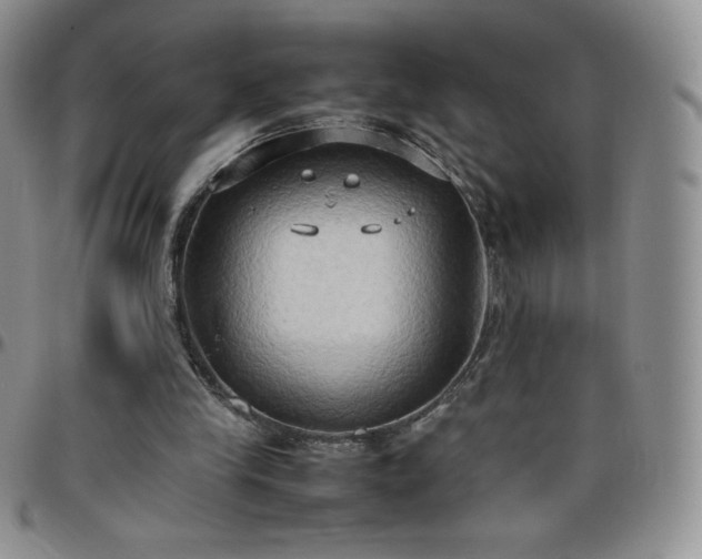 X0000099230245200805011142