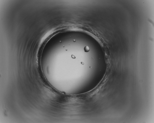 X0000099230246200805011142