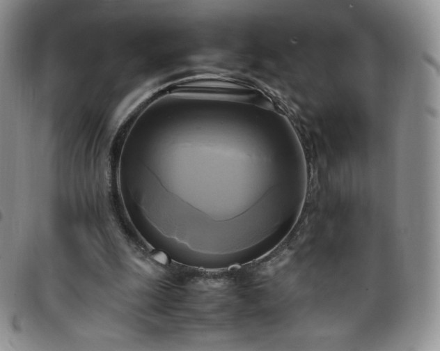 X0000099230247200805011143